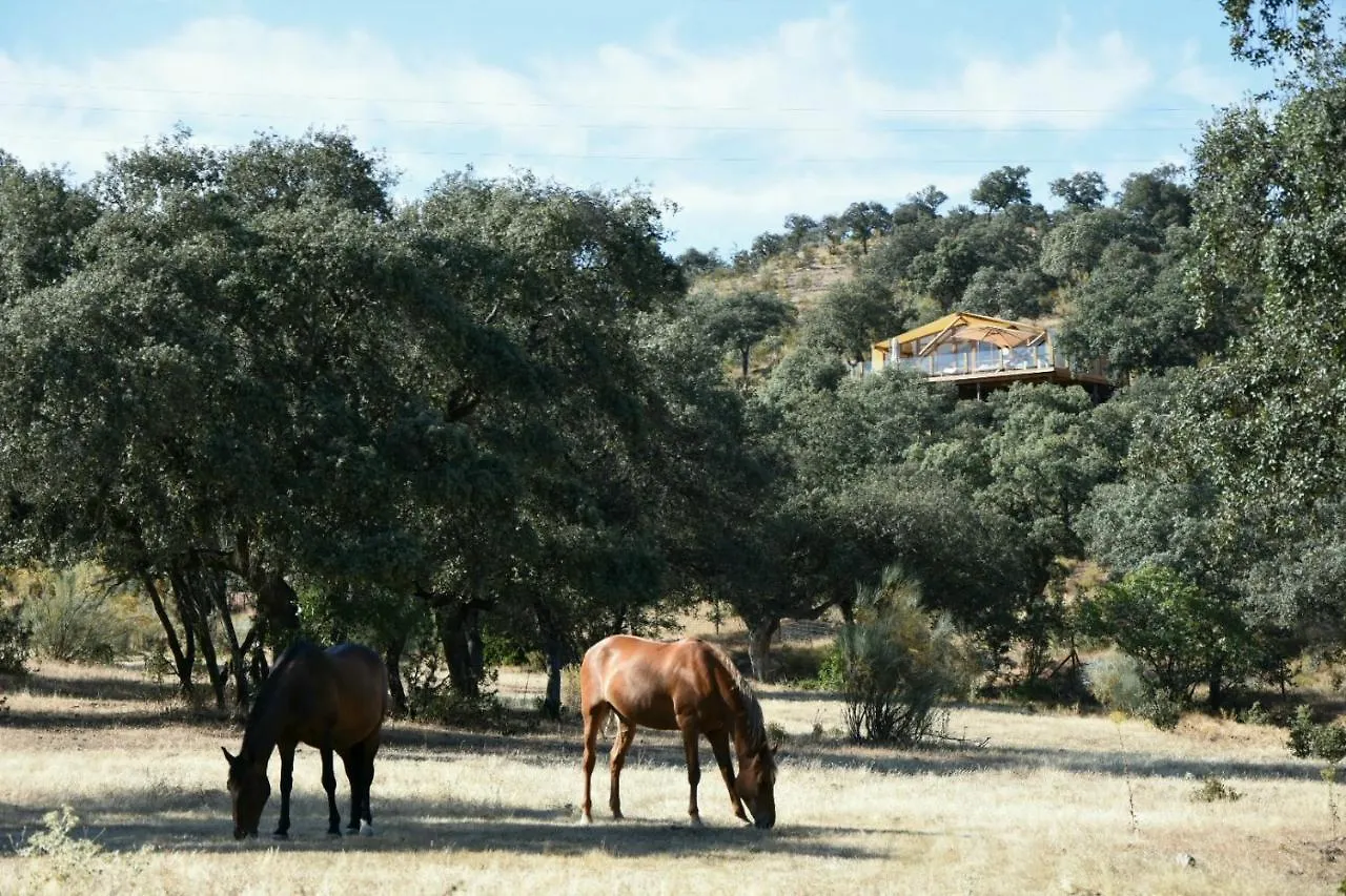 Kapselhotel Hotel La Dehesa Experiences Adamuz Spanien