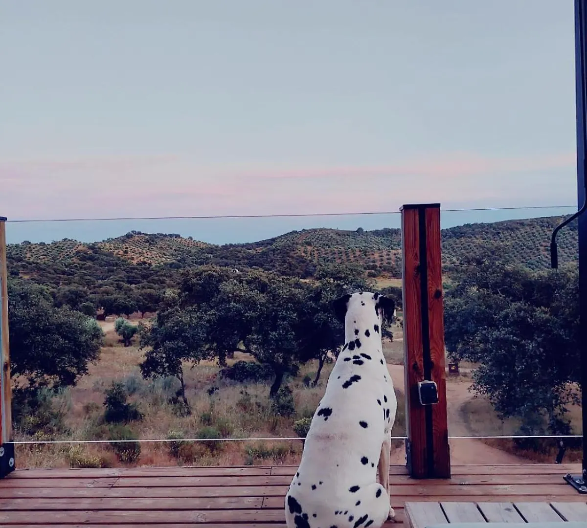 La Dehesa Experiences Hotel Adamuz