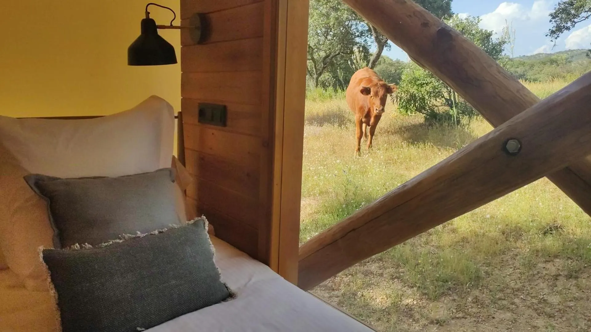 Capsule hotel La Dehesa Experiences Hotel Adamuz